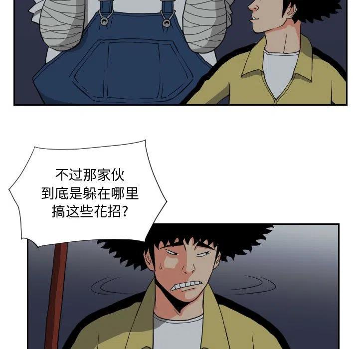 8244