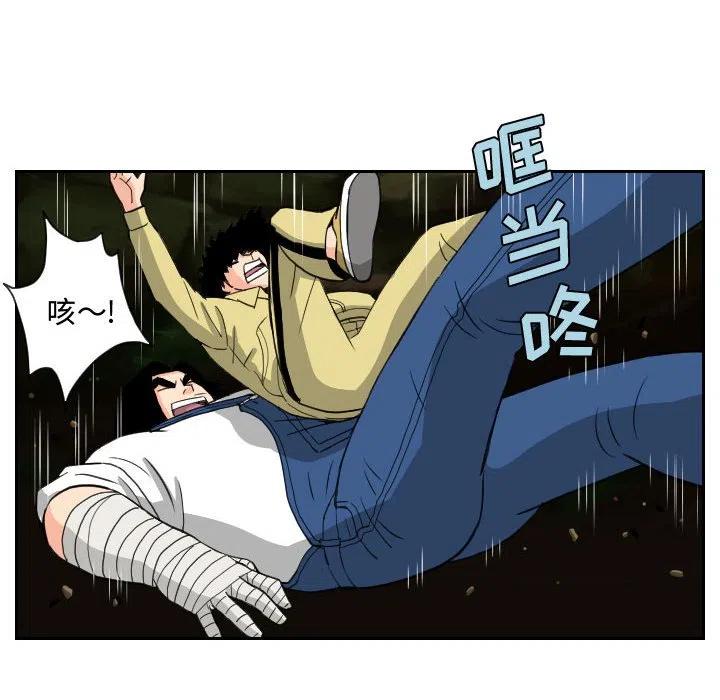 8337