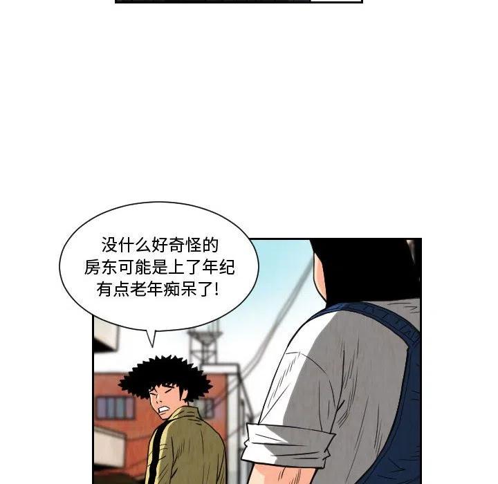 8041