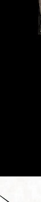 31306