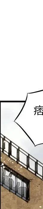 31207
