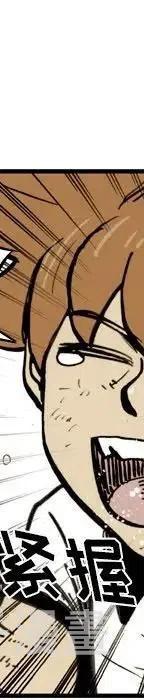 31233