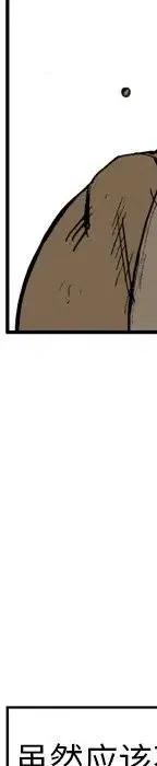 31133