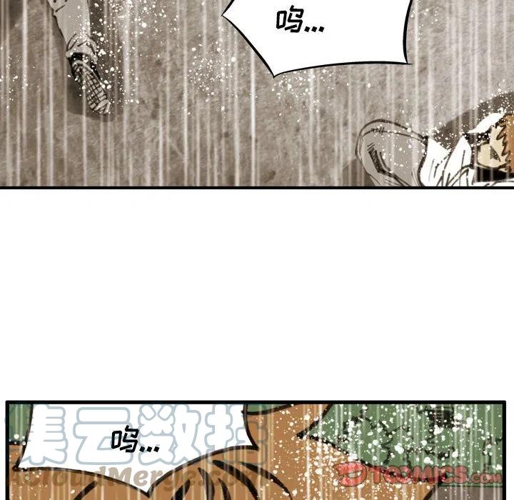7961