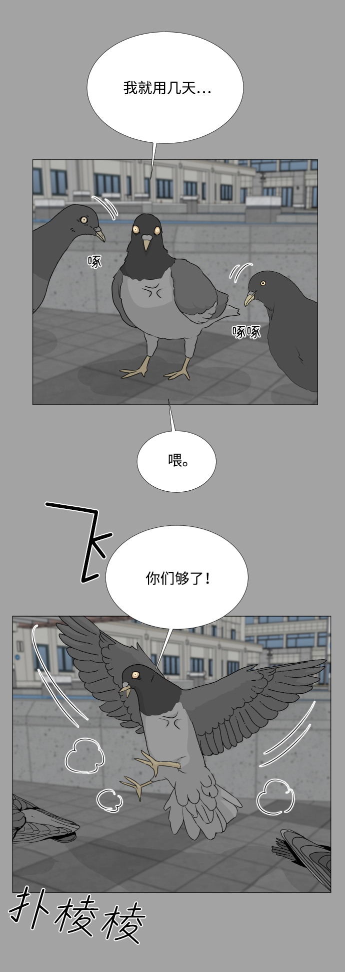第51话31
