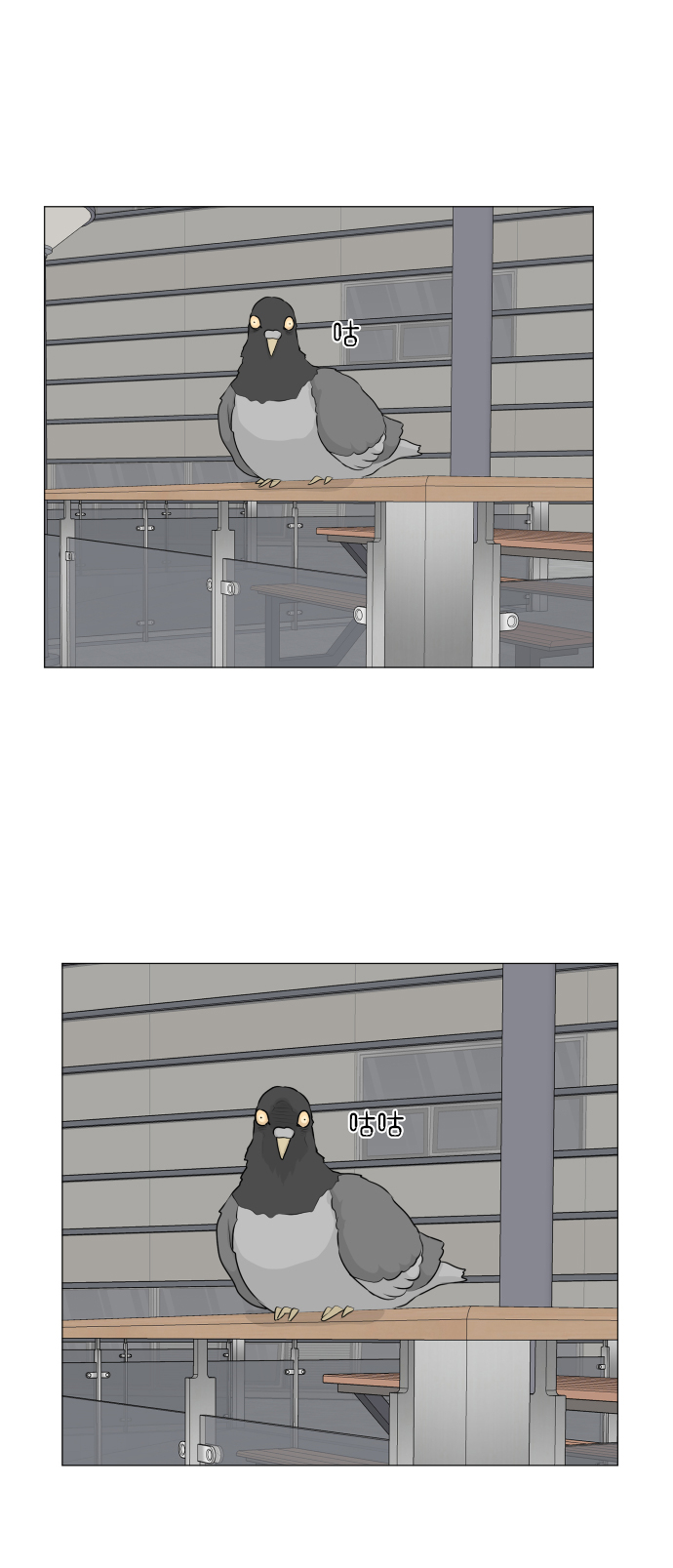 第51话52