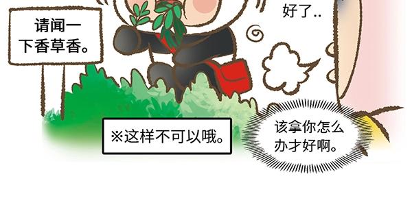 第7话 香氛之旅29