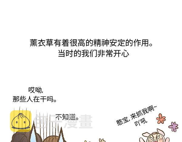 第7话 香氛之旅47