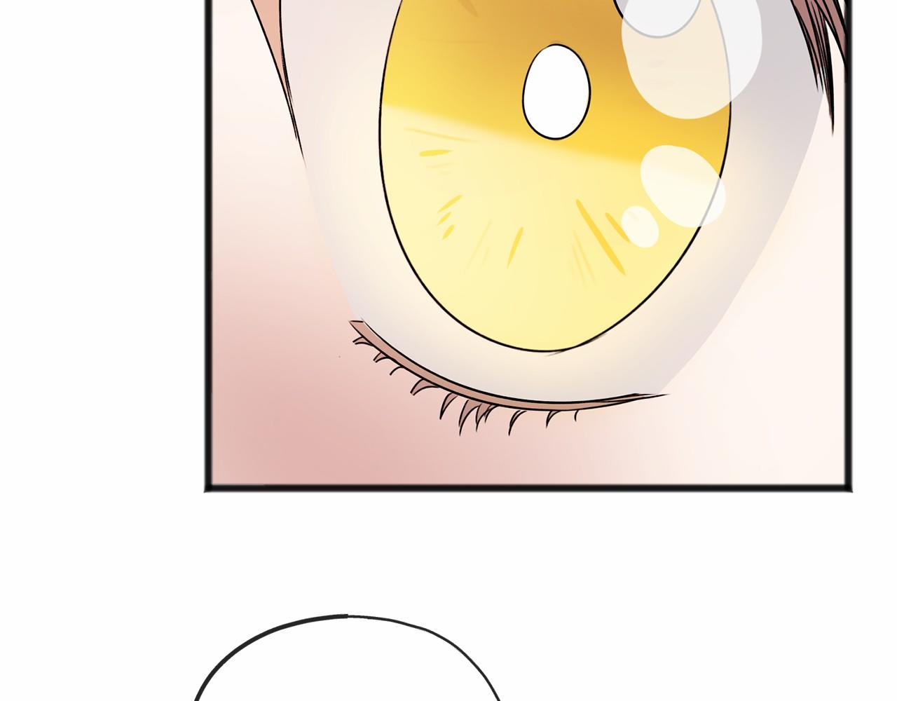 第5话 跟我走吧4