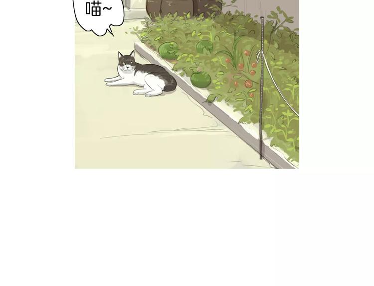 第5话 不是我而是爲了某人19