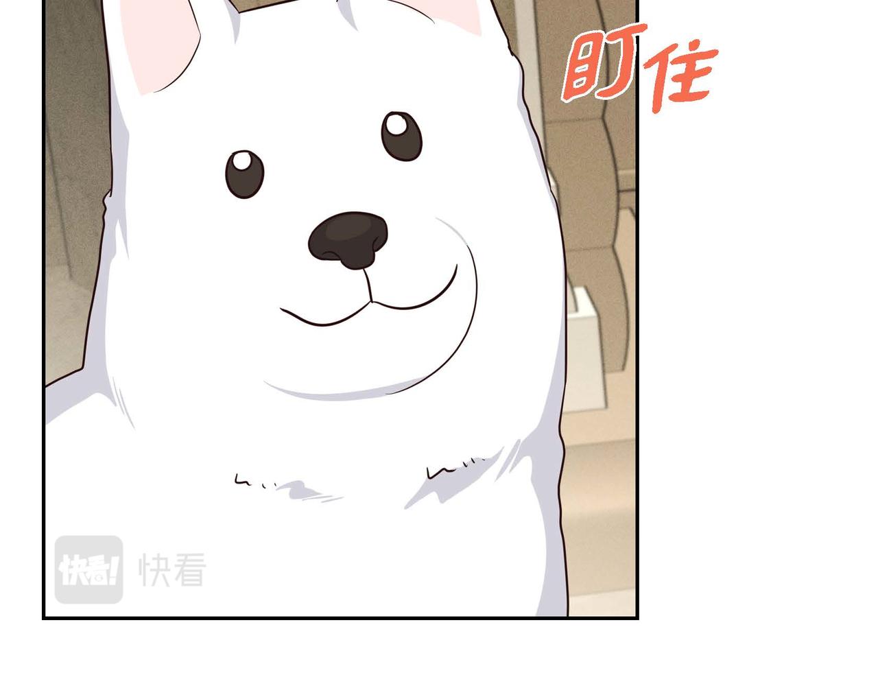 第44话 受惊过度67