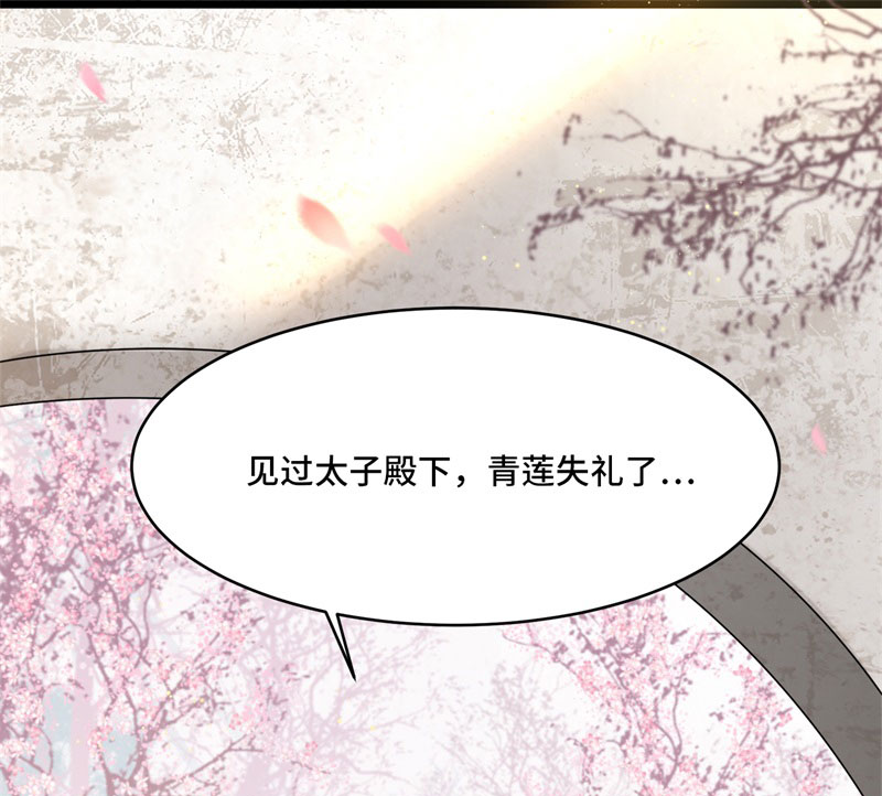 第6话 卫清莲的算盘11