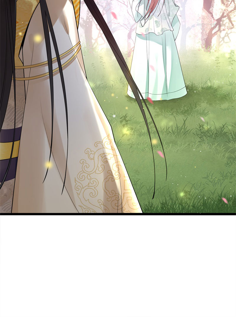 第6话 卫清莲的算盘8