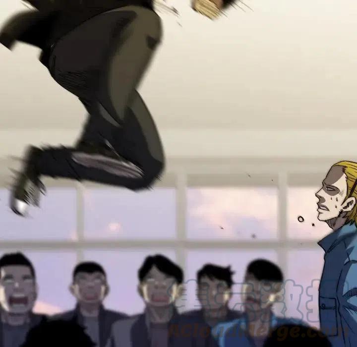 33116