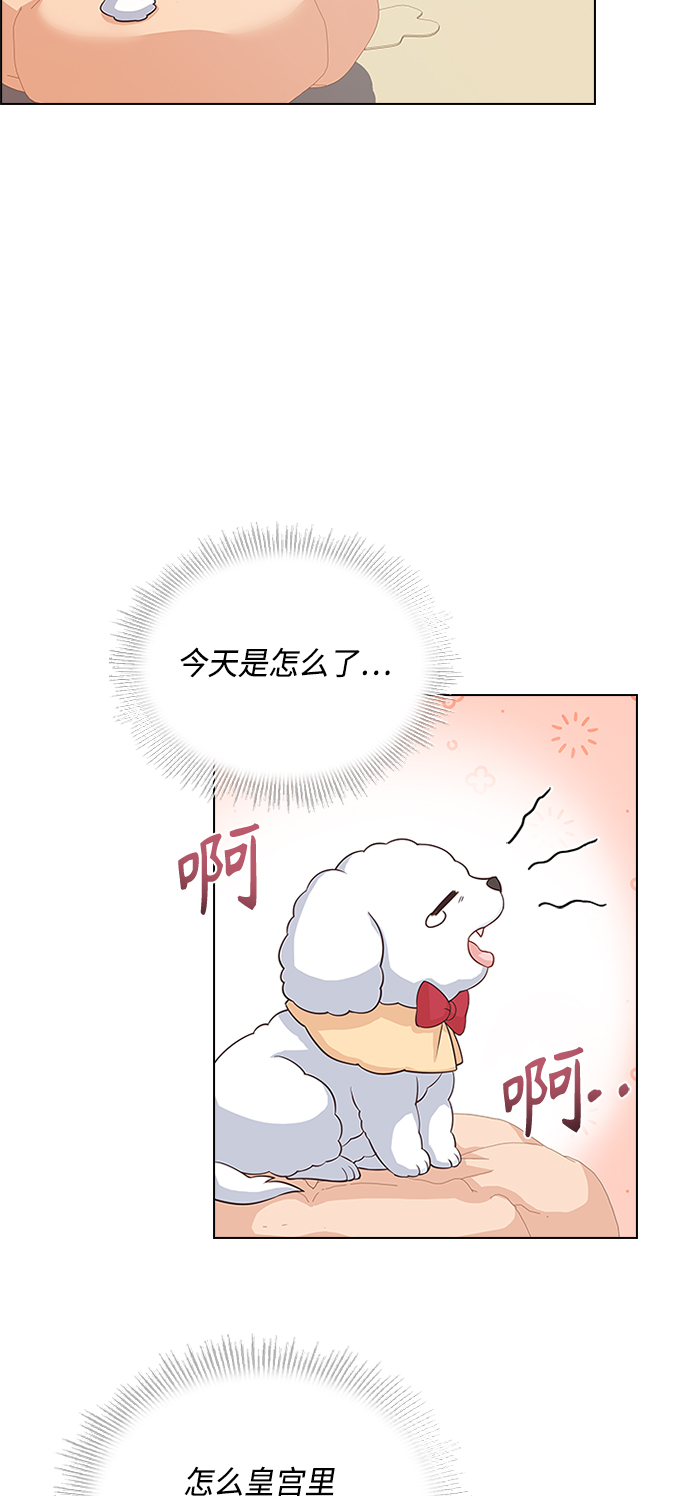 第55话51