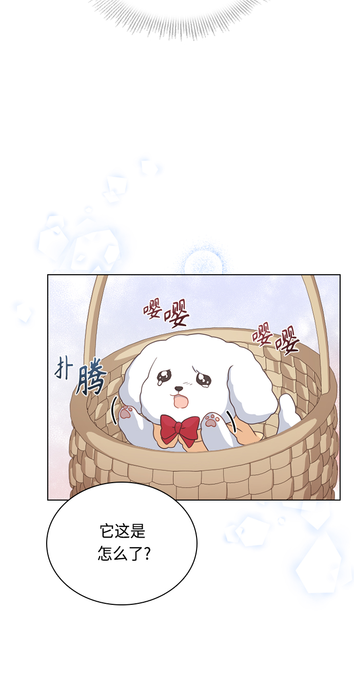 第51话49