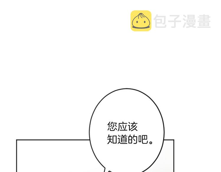 第39话 魔法征程30