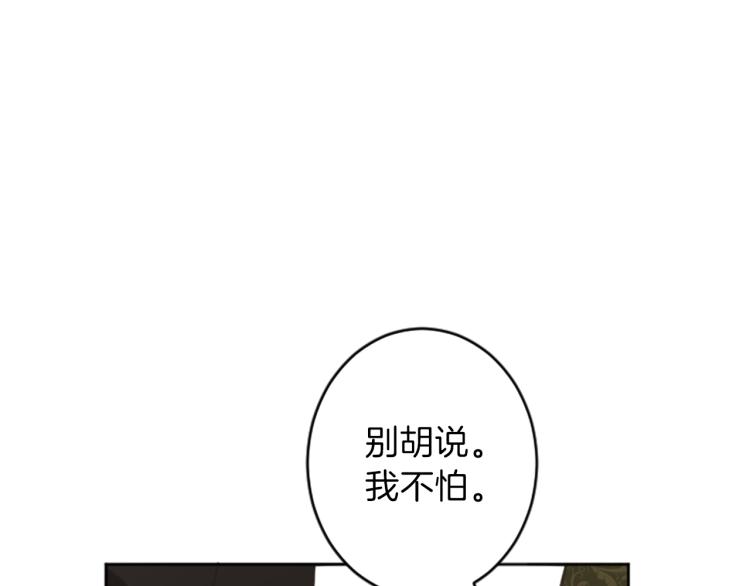 第39话 魔法征程52