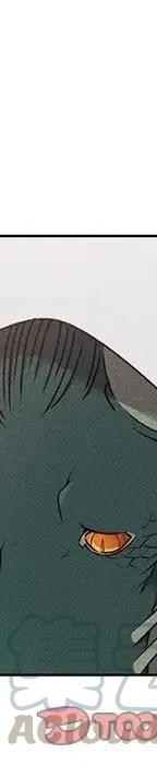 44264