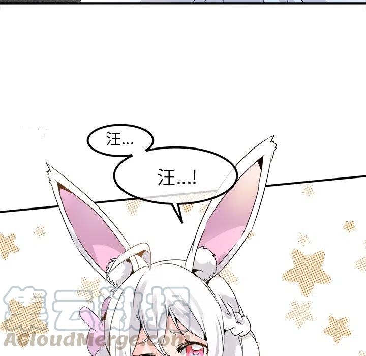 23116