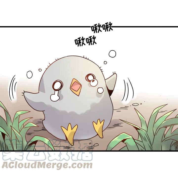 1104