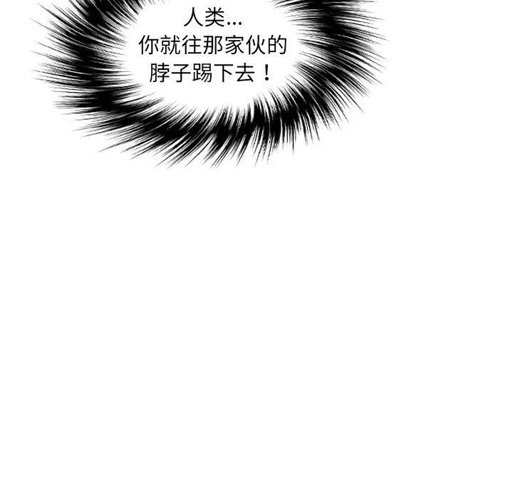 16202