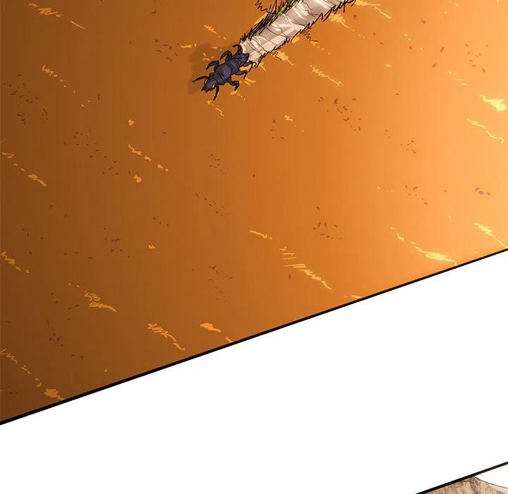 46114
