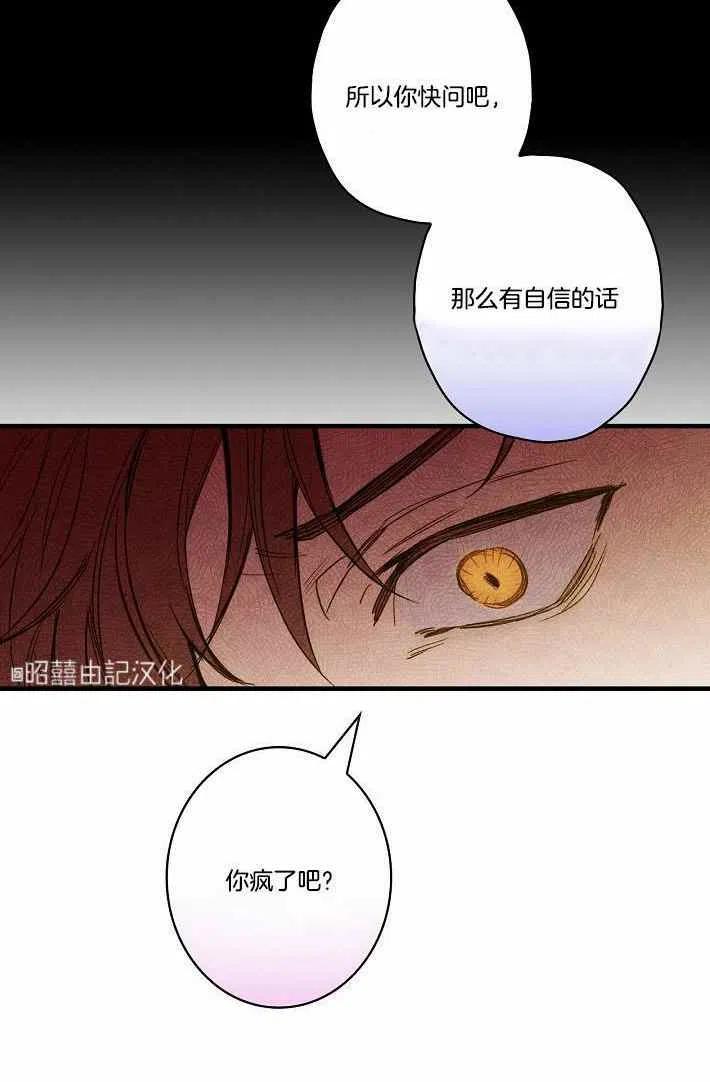 第41话41