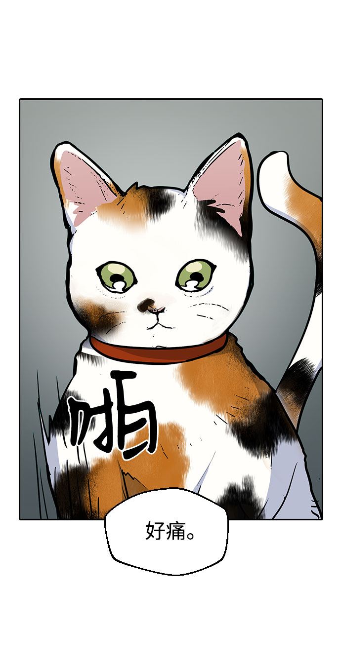 第39话47
