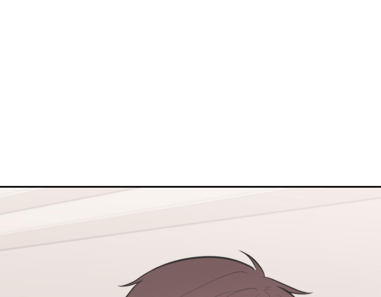 完结篇 重逢91