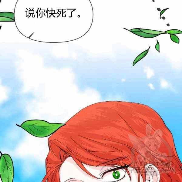 第52话117