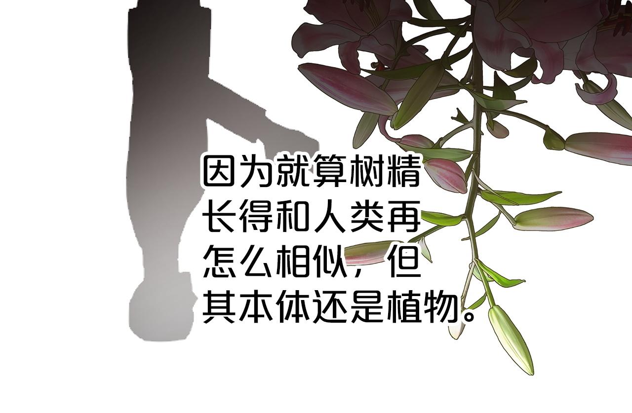 第7话 树精就在我身边？！62