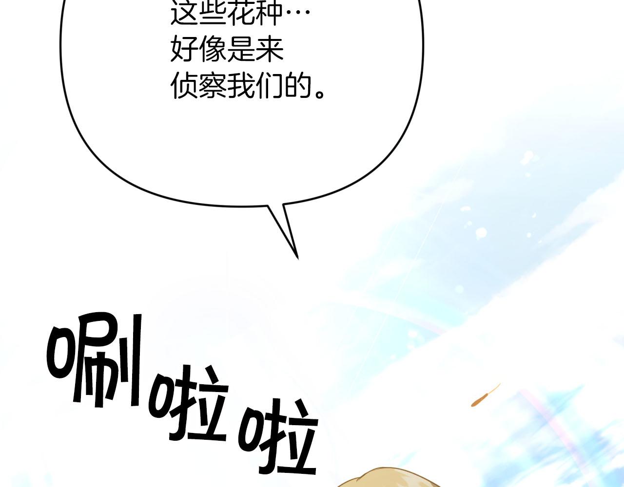 第24话 蒲公英羣部落153