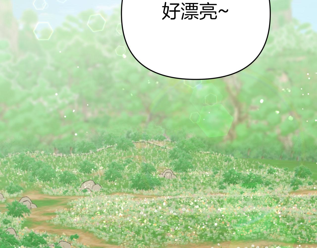 第24话 蒲公英羣部落124