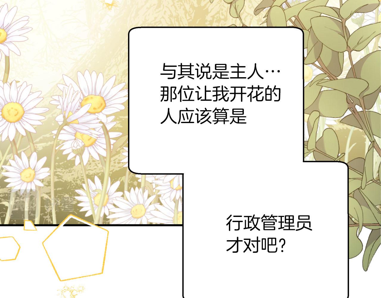 第37话 另一个黛西树精134
