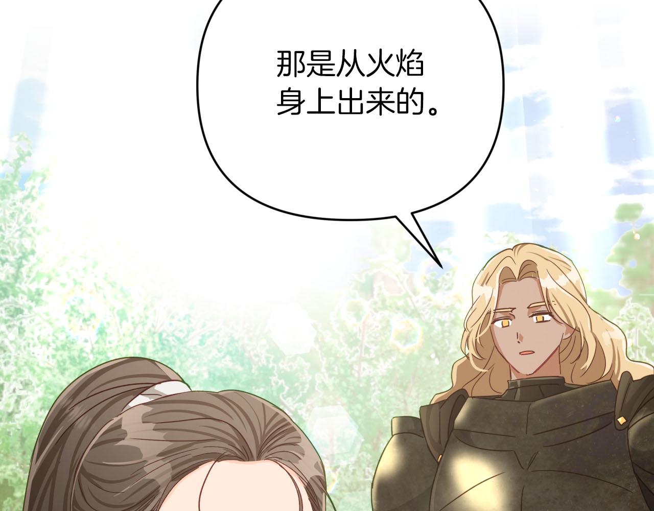 第28话 被火焰吞噬的灵魂26