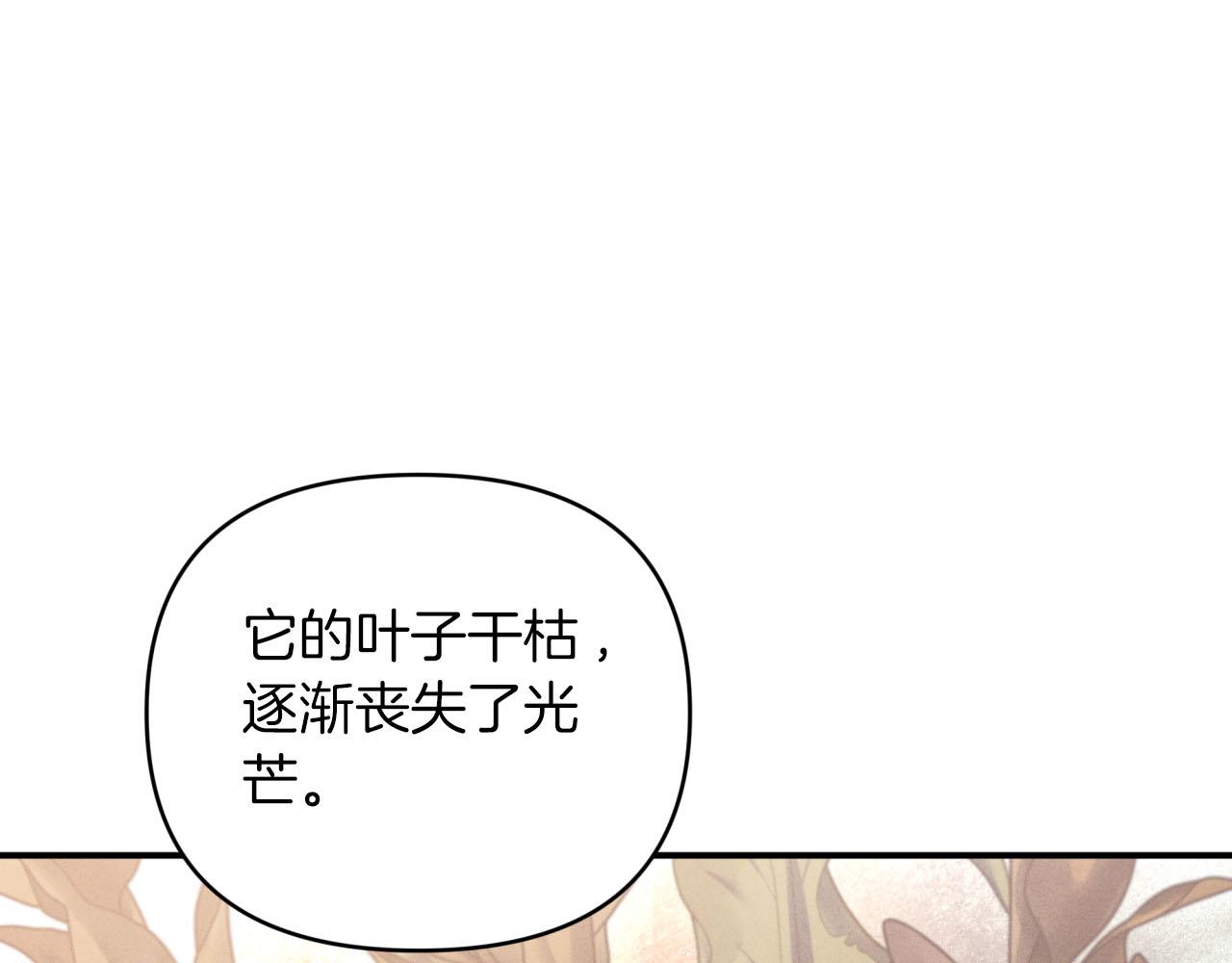 第37话 另一个黛西树精159