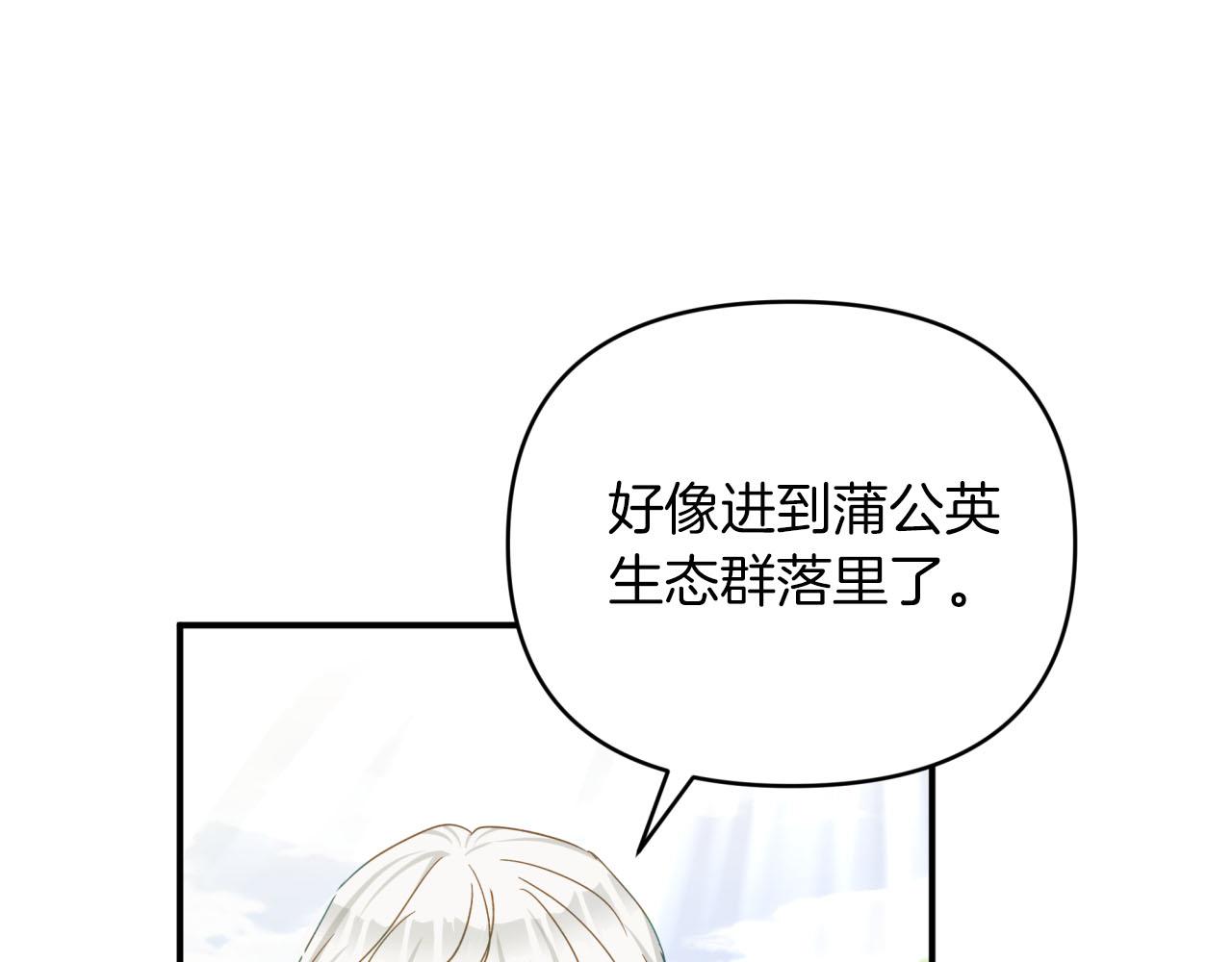 第24话 蒲公英羣部落130