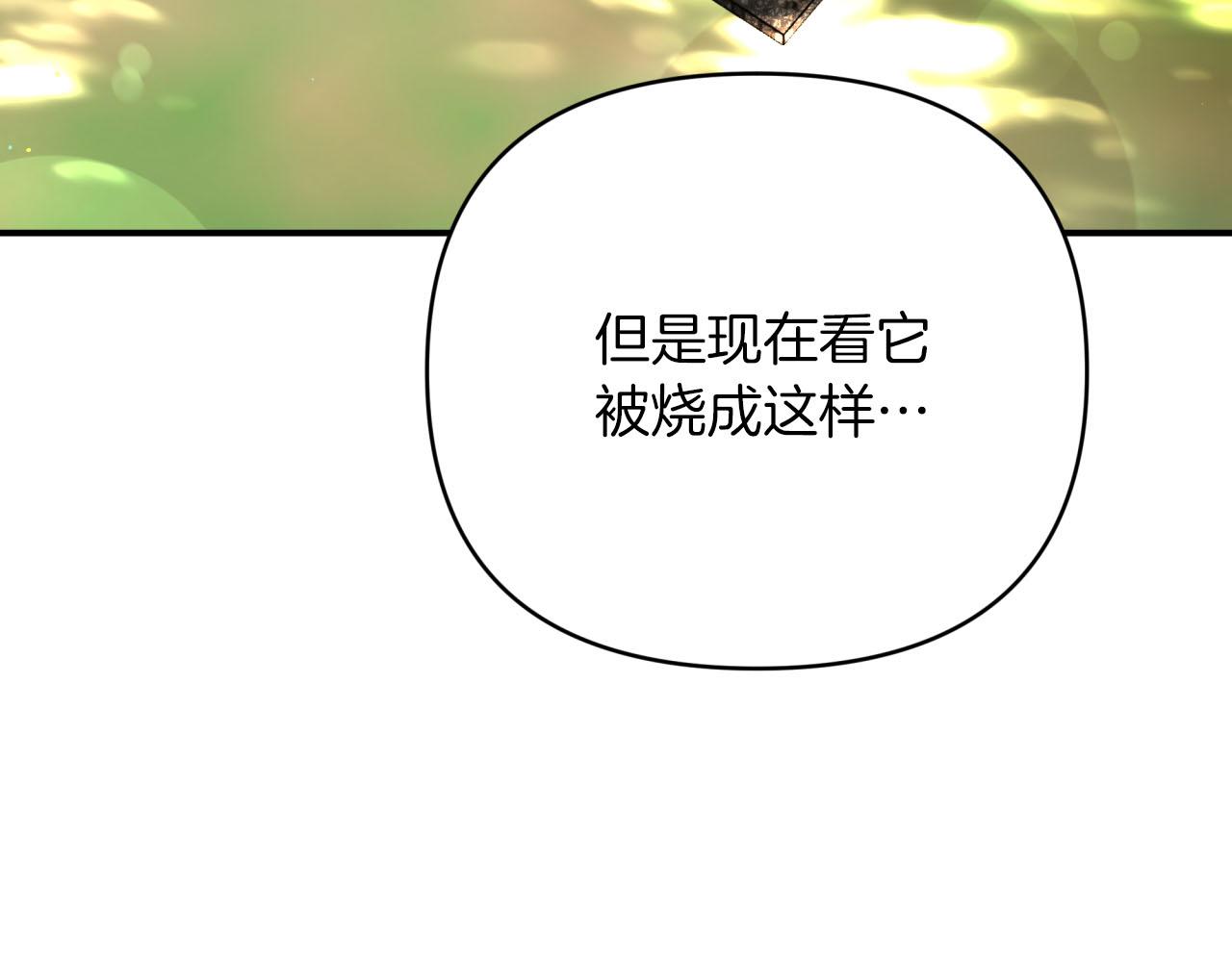 第29话 另一位德鲁伊109