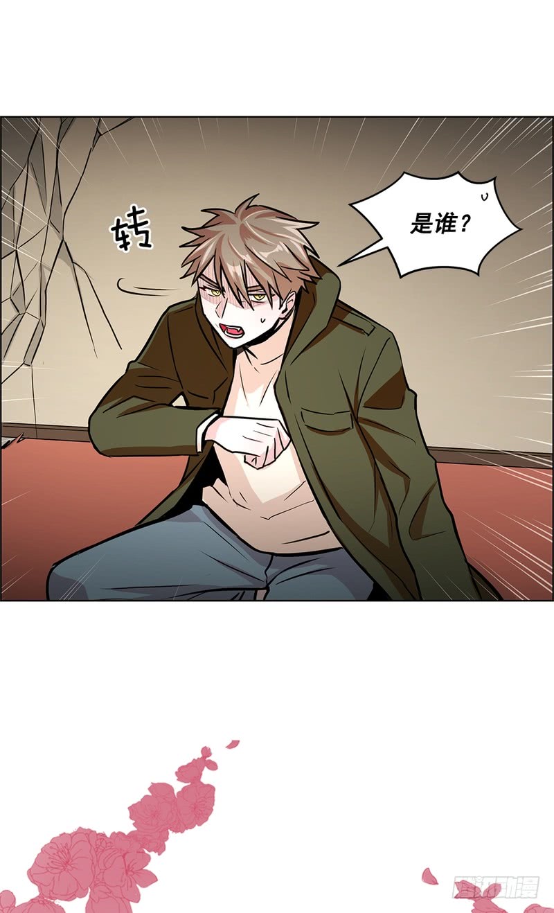第50话0