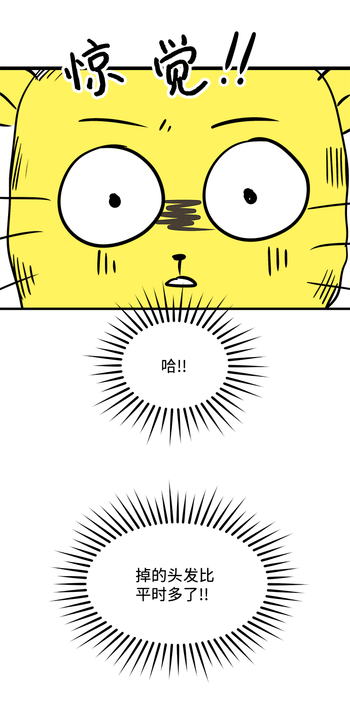 【免费】後记11