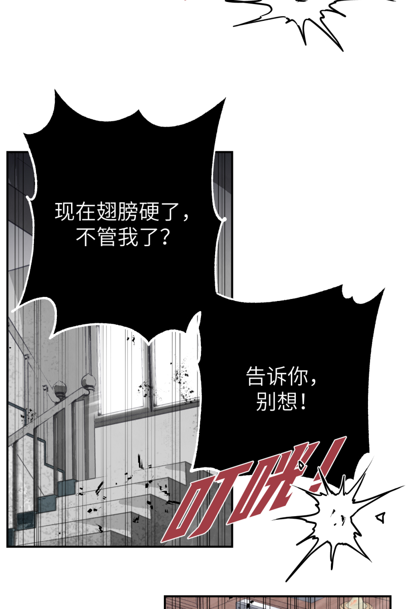 第41话44