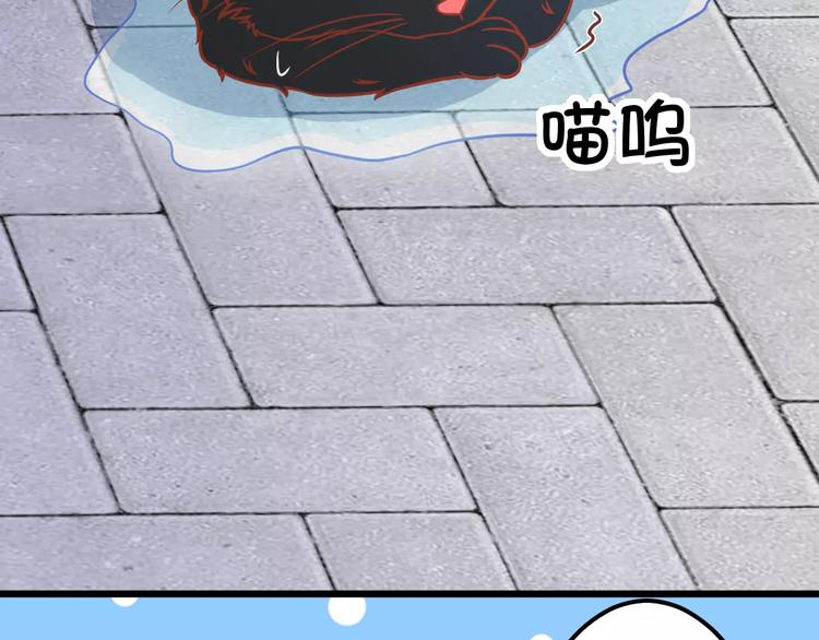 第13话 流浪猫73