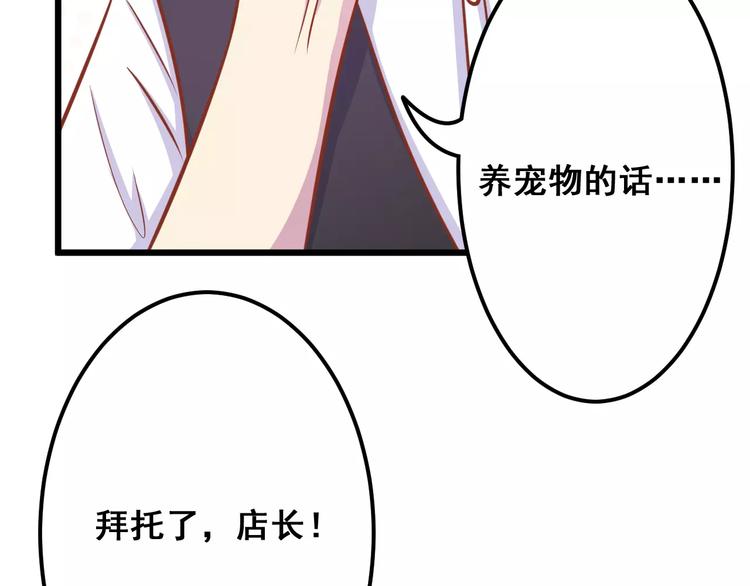 第13话 流浪猫116