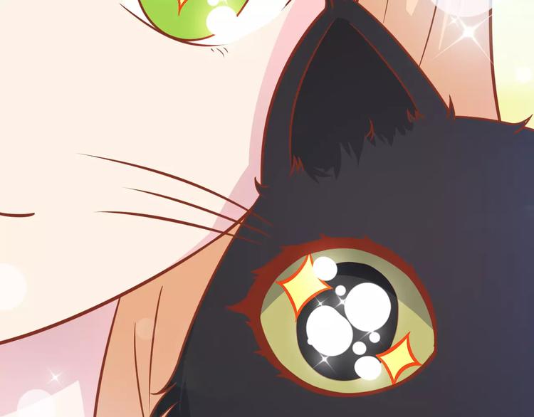 第13话 流浪猫119