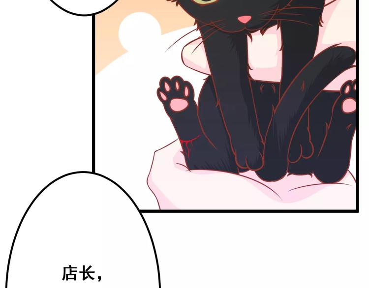 第13话 流浪猫85