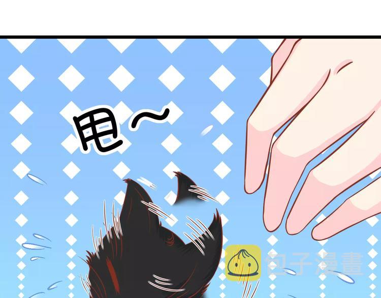 第13话 流浪猫92