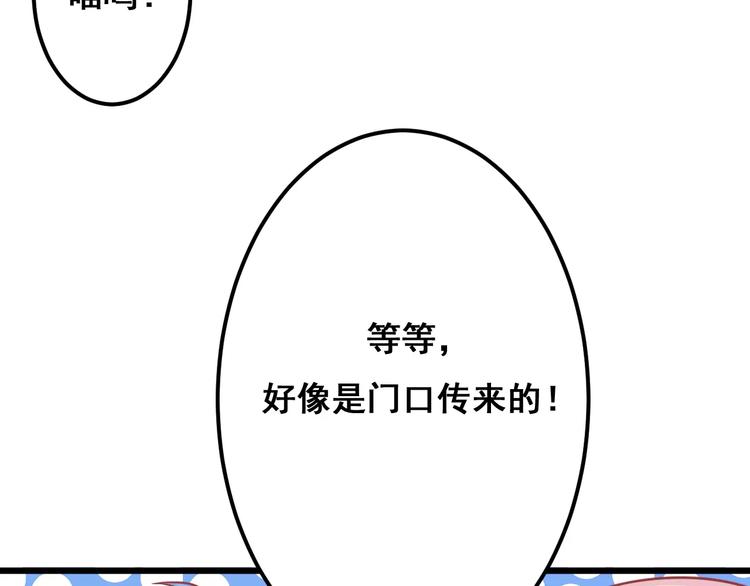 第13话 流浪猫67