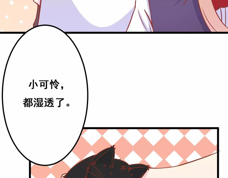第13话 流浪猫82