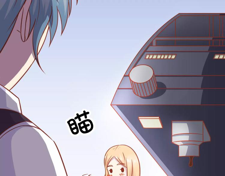 第13话 流浪猫4